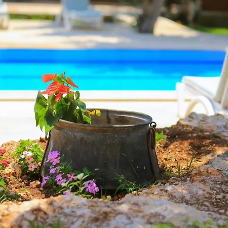 Apartment Dundar - *